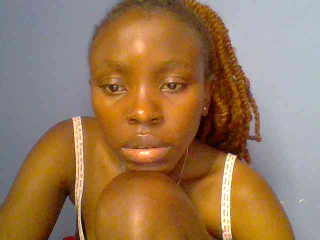 chocolate-brownie webcam
