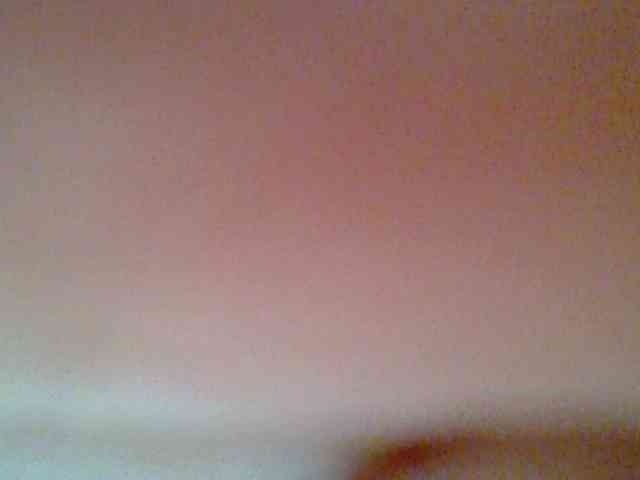 chocolate-brownie webcam