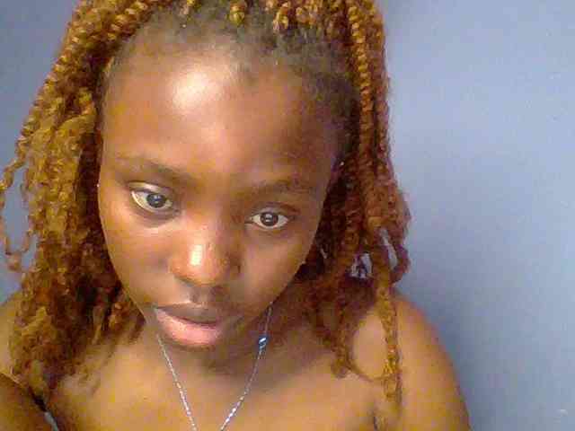 chocolate-brownie webcam