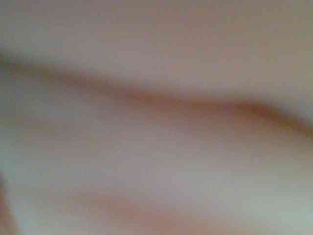 chocolate-brownie webcam