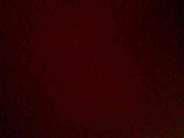chocolate-brownie webcam