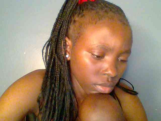 chocolate-brownie webcam