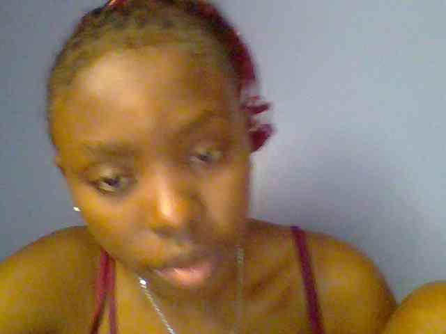 chocolate-brownie webcam