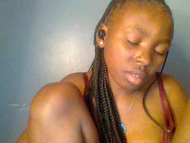 chocolate-brownie webcam