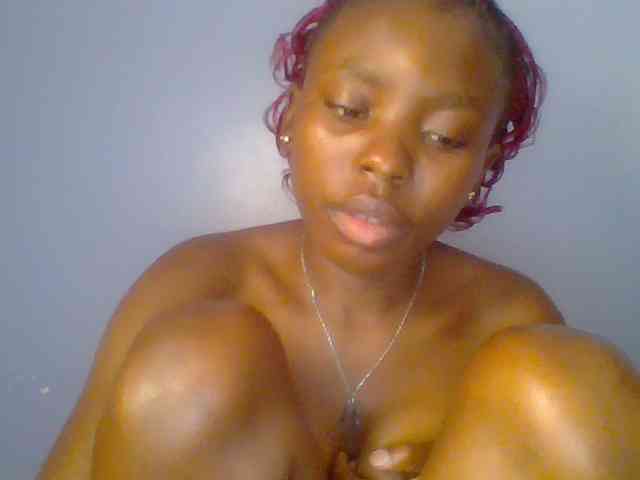 chocolate-brownie webcam
