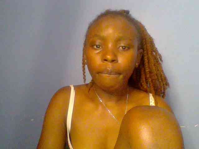 chocolate-brownie webcam