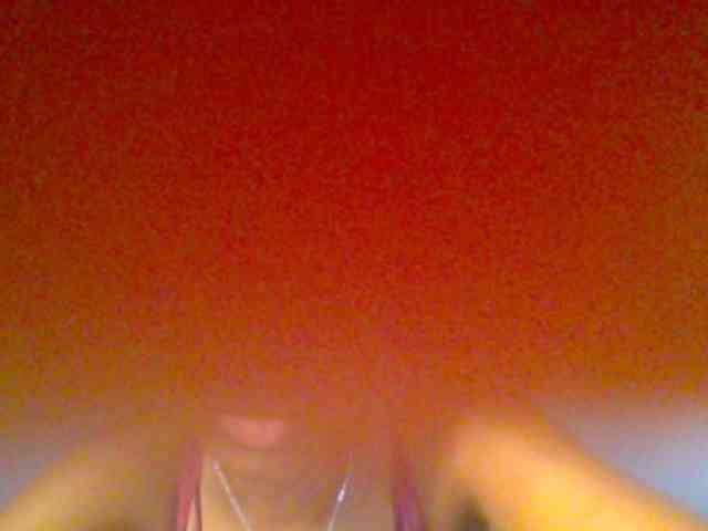 chocolate-brownie webcam