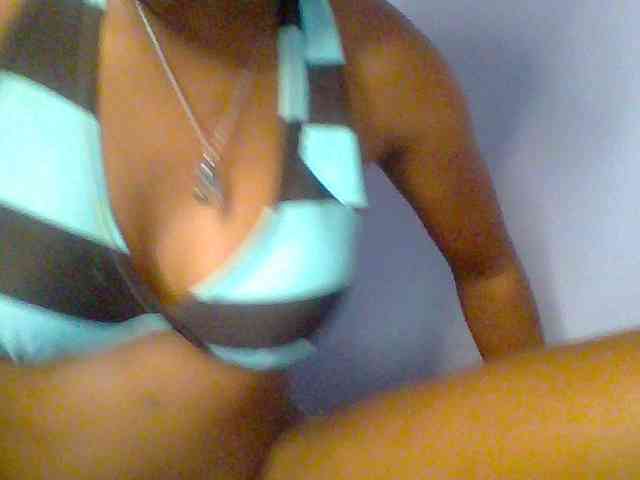 chocolate-brownie webcam
