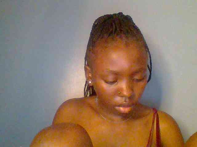 chocolate-brownie webcam