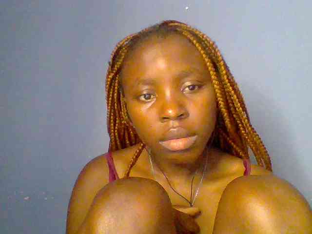 chocolate-brownie webcam