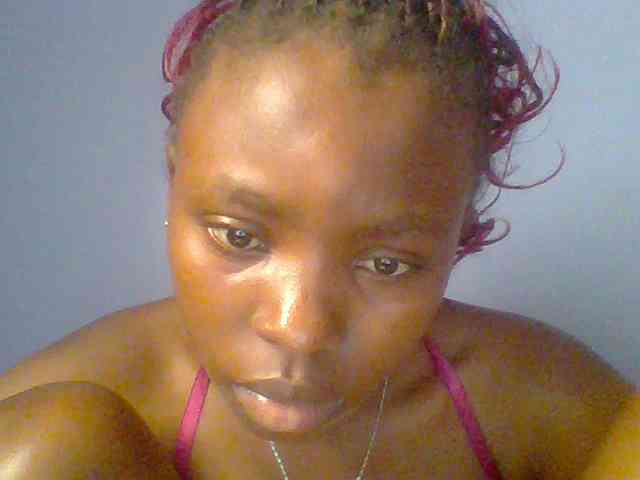 chocolate-brownie webcam