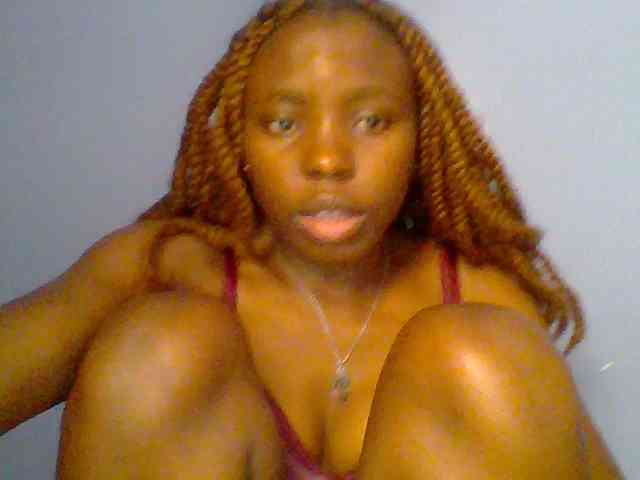 chocolate-brownie webcam