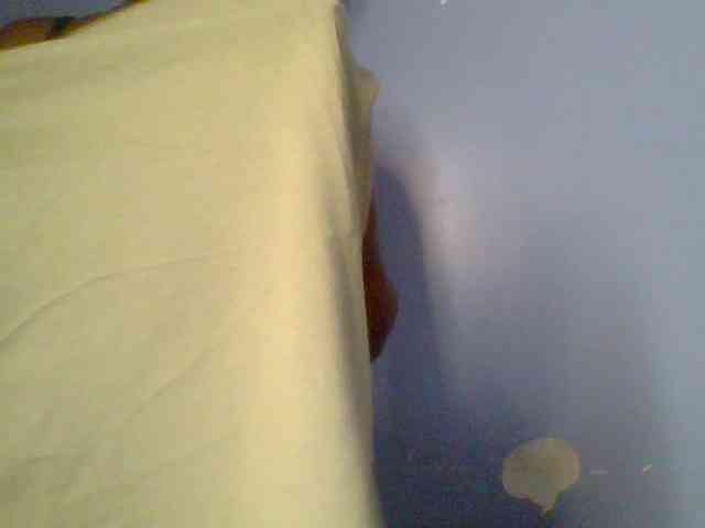 chocolate-brownie webcam