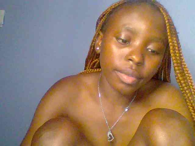chocolate-brownie webcam