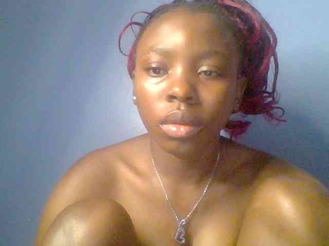 chocolate-brownie webcam
