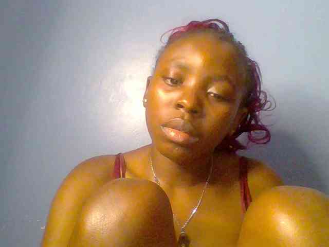 chocolate-brownie webcam