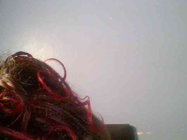 chocolate-brownie webcam
