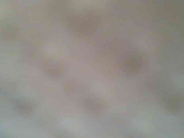chocolate-brownie webcam