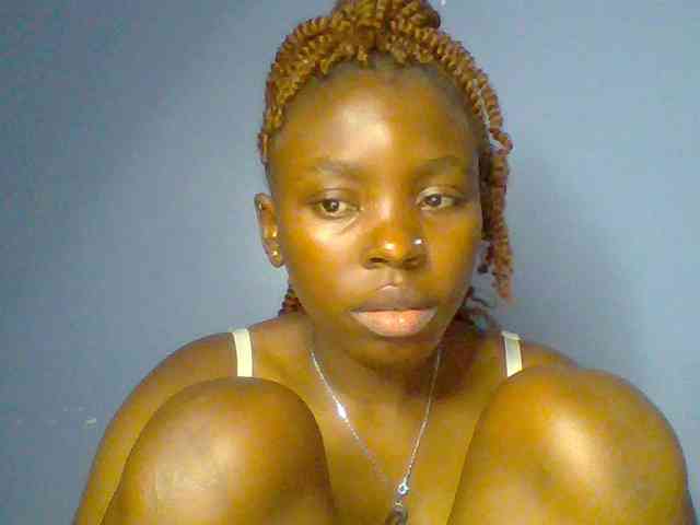 chocolate-brownie webcam