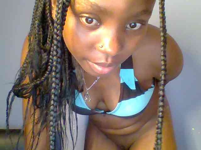 chocolate-brownie webcam