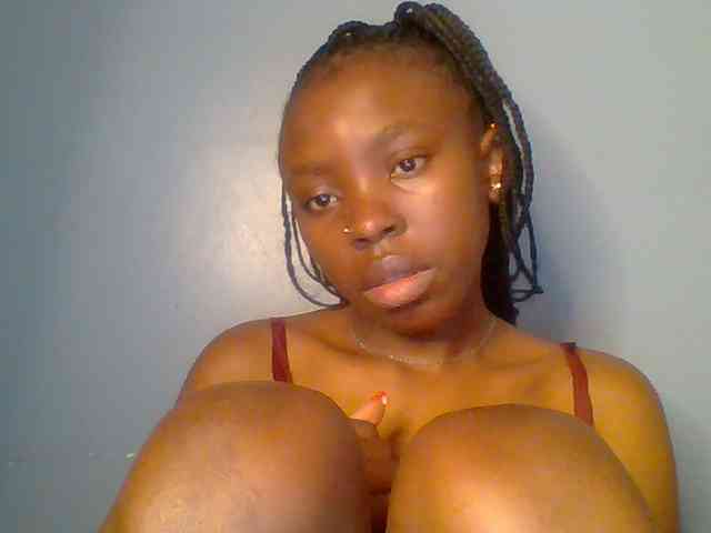 chocolate-brownie webcam