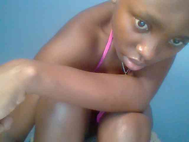 chocolate-brownie webcam