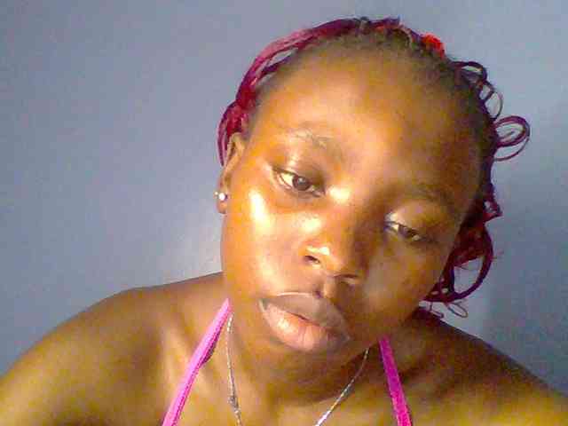 chocolate-brownie webcam