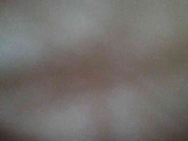 chocolate-brownie webcam