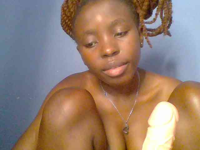 chocolate-brownie webcam