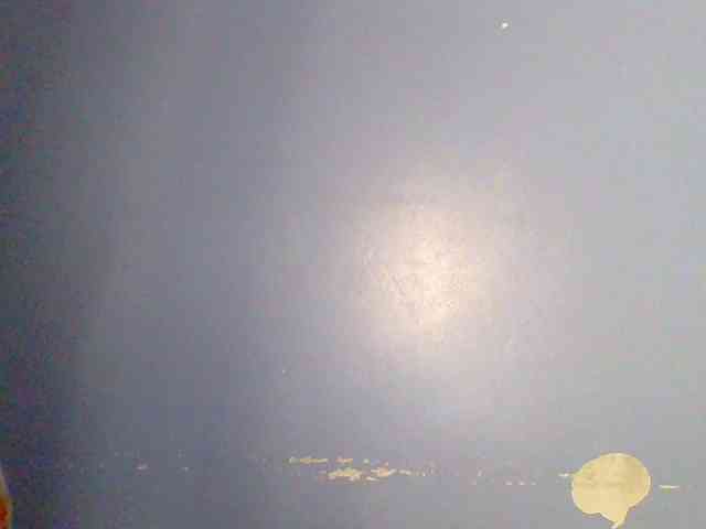 chocolate-brownie webcam