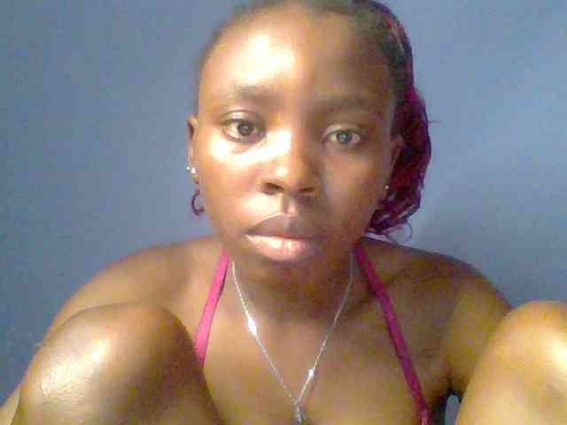 chocolate-brownie webcam