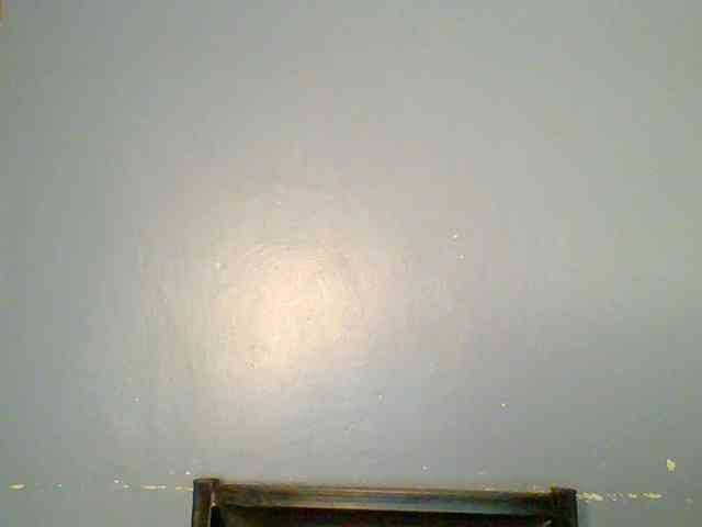 chocolate-brownie webcam