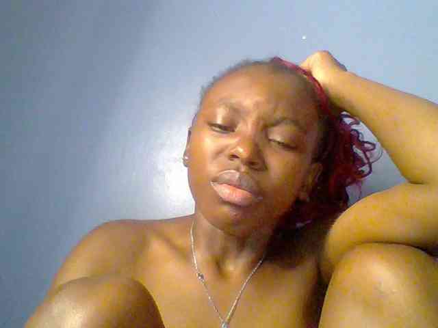 chocolate-brownie webcam