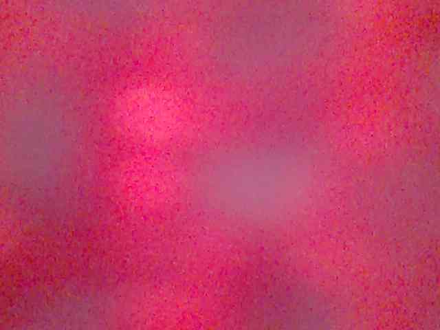 chocolate-brownie webcam