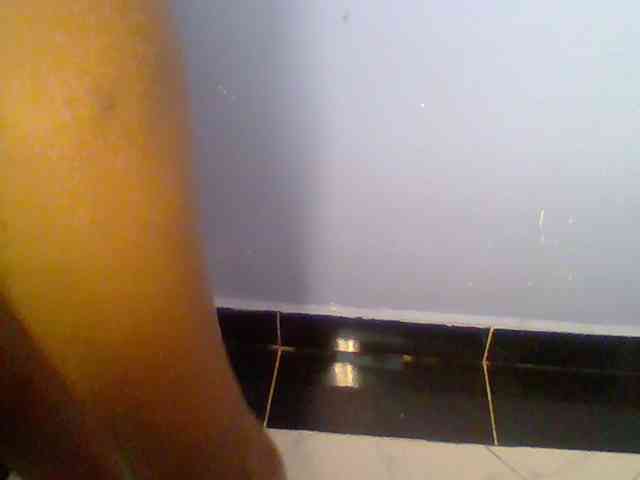 chocolate-brownie webcam