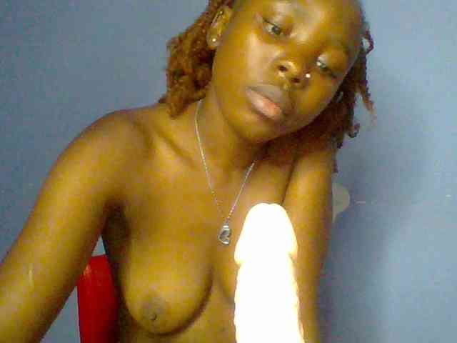 chocolate-brownie webcam