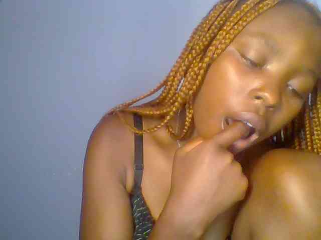 chocolate-brownie webcam