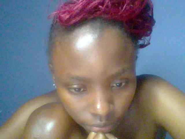 chocolate-brownie webcam