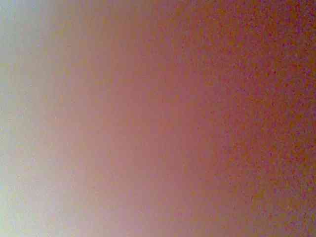 chocolate-brownie webcam