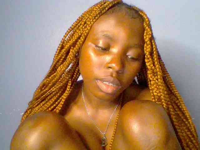chocolate-brownie webcam