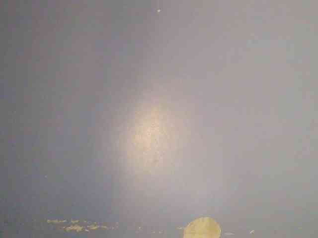chocolate-brownie webcam