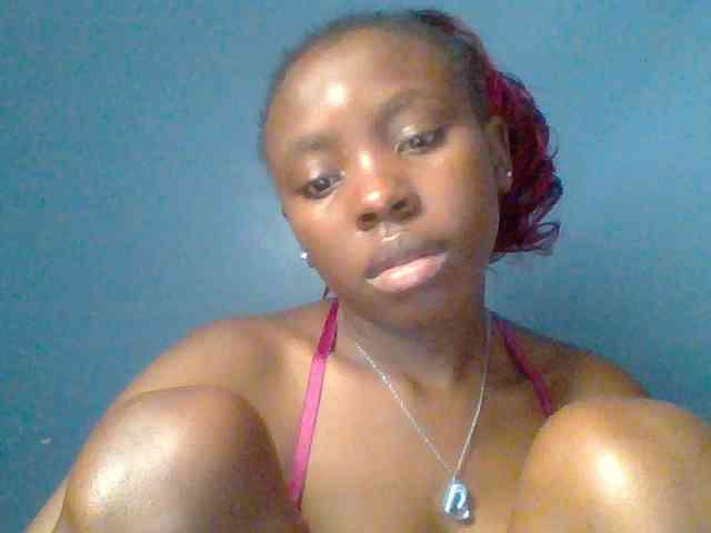 chocolate-brownie webcam