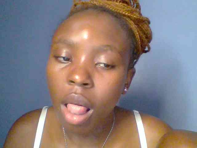 chocolate-brownie webcam