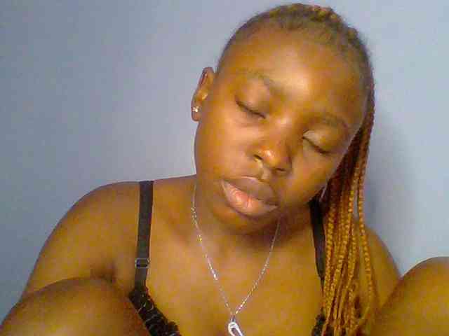 chocolate-brownie webcam