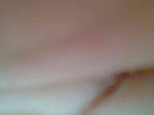 chocolate-brownie webcam