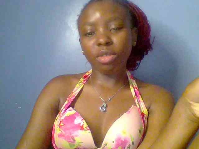 chocolate-brownie webcam