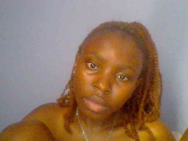chocolate-brownie webcam