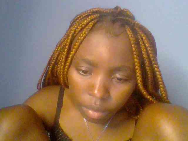 chocolate-brownie webcam