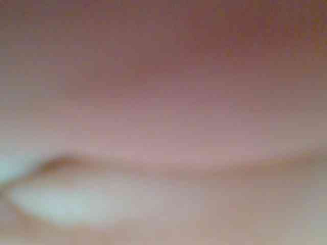 chocolate-brownie webcam