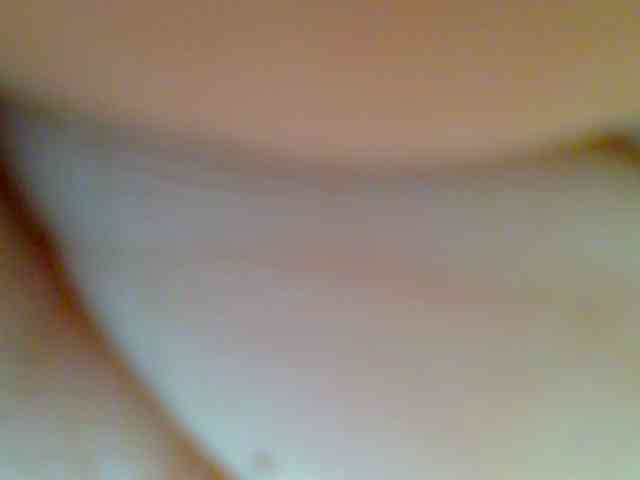 chocolate-brownie webcam